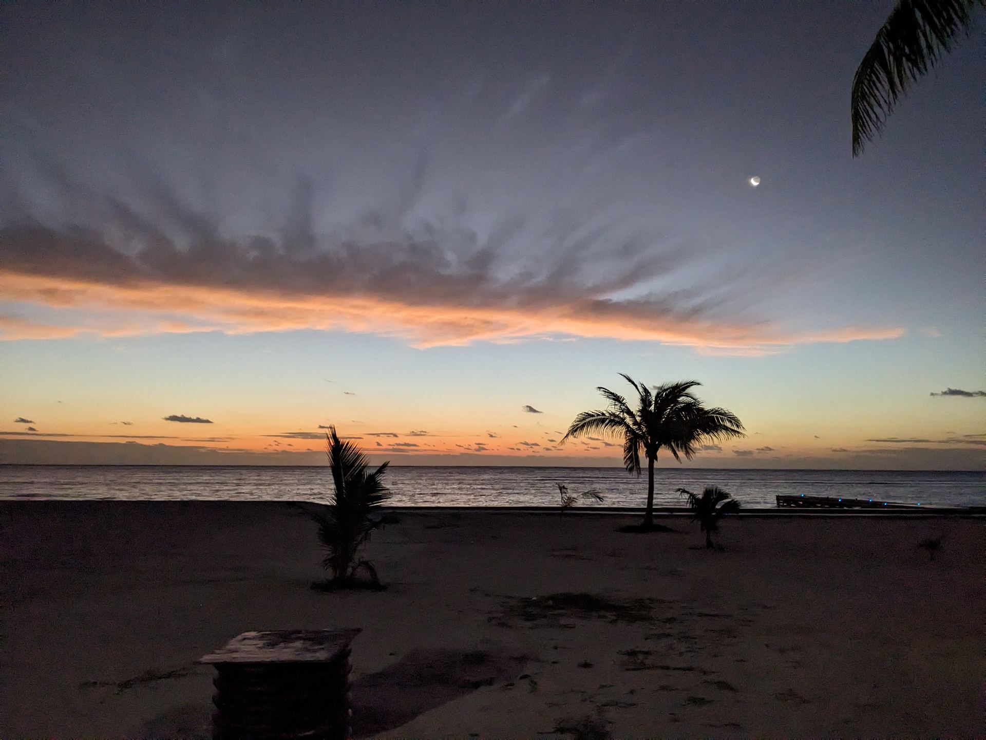 Beach at dusk with palm tree silhouettes